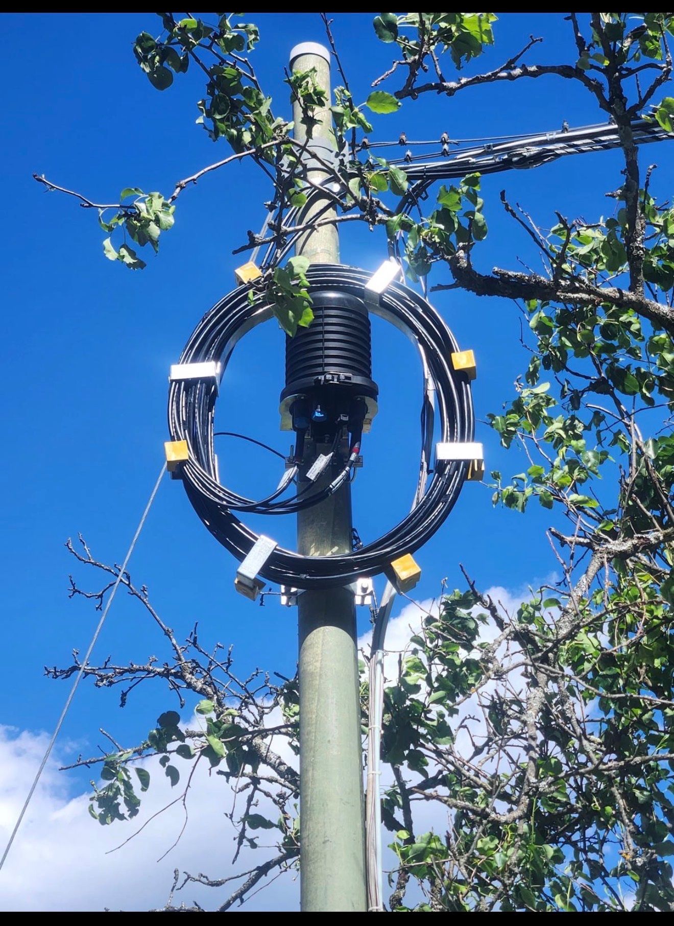 Giunto in fibra ottica con spira di riserva del cavo installato in cima a un palo